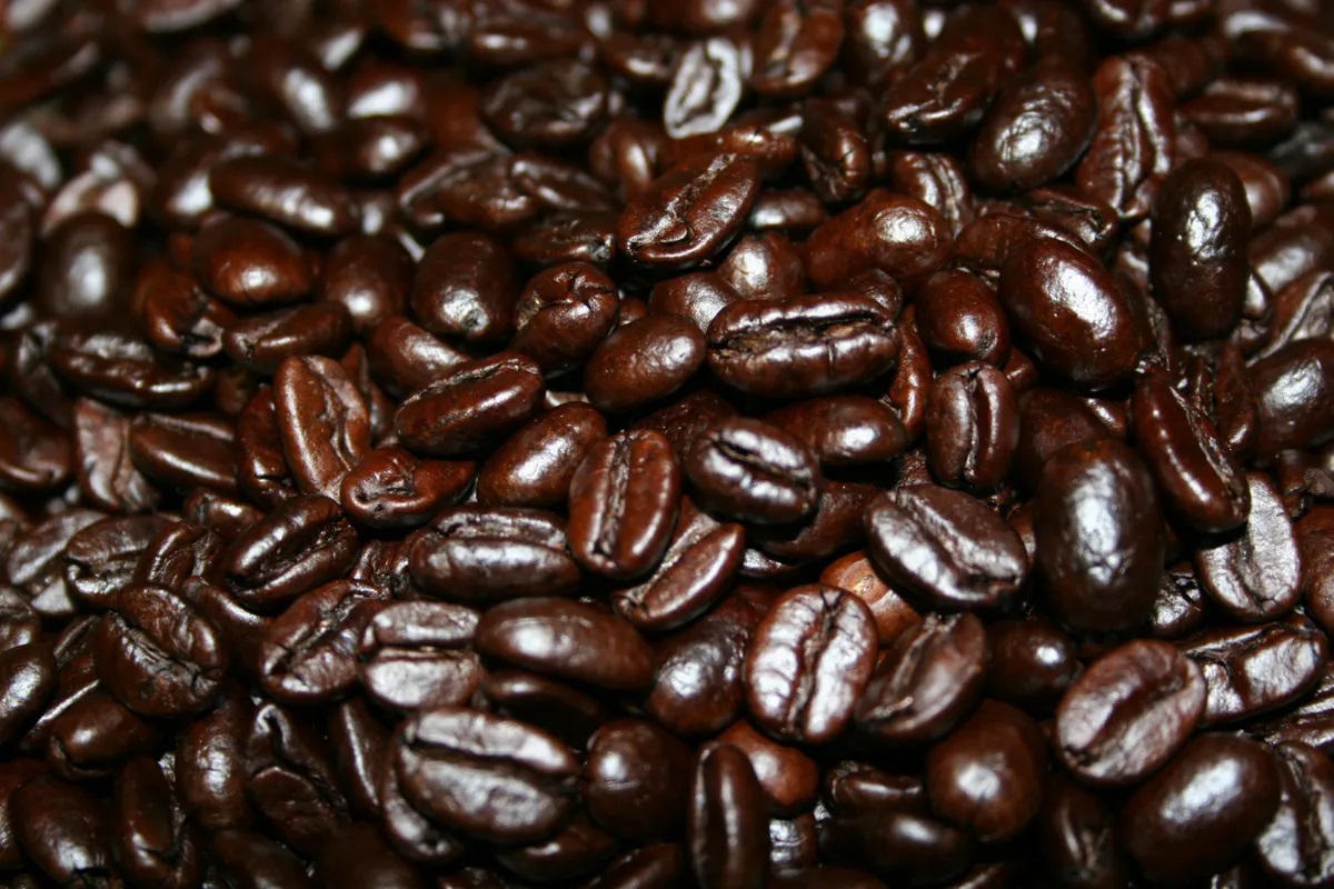 how-to-roast-sumatra-beans