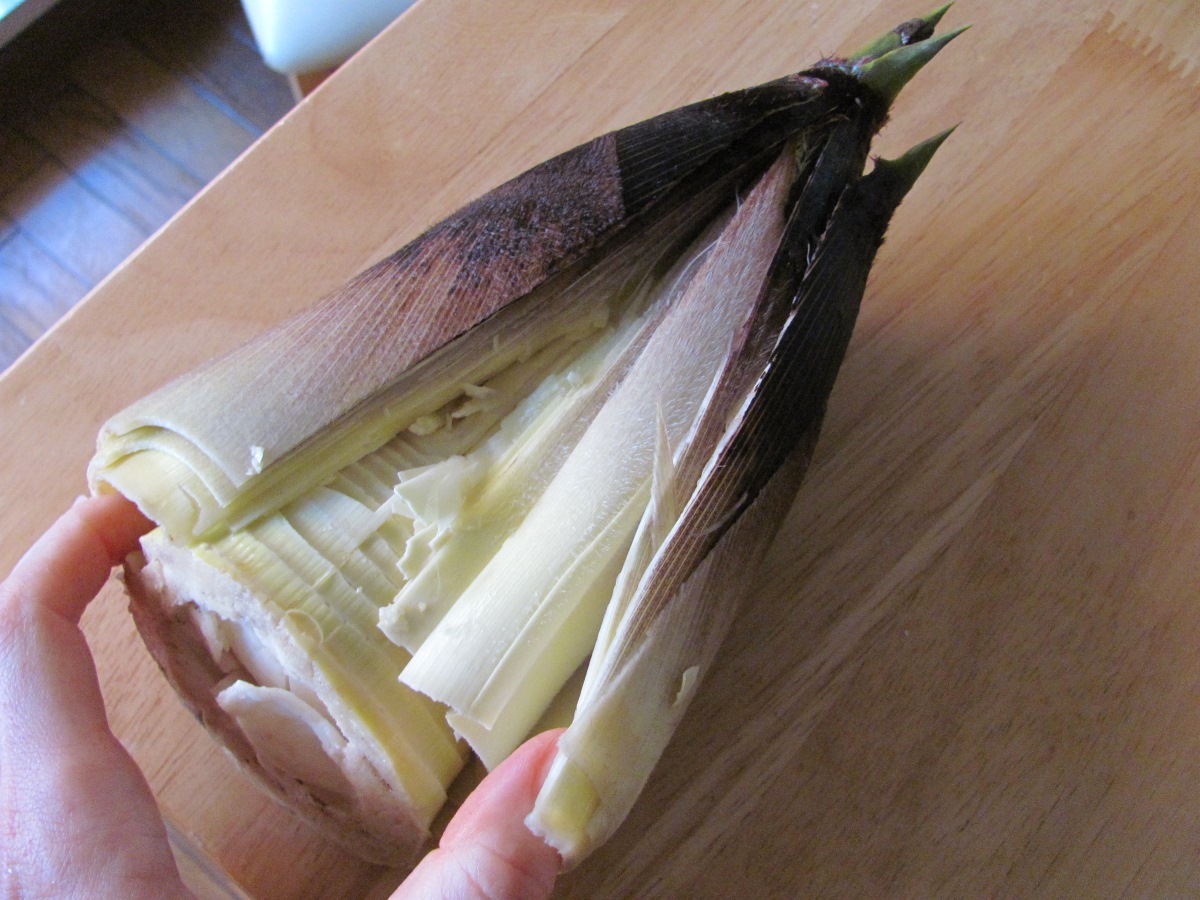 how-to-shred-bamboo-shoots
