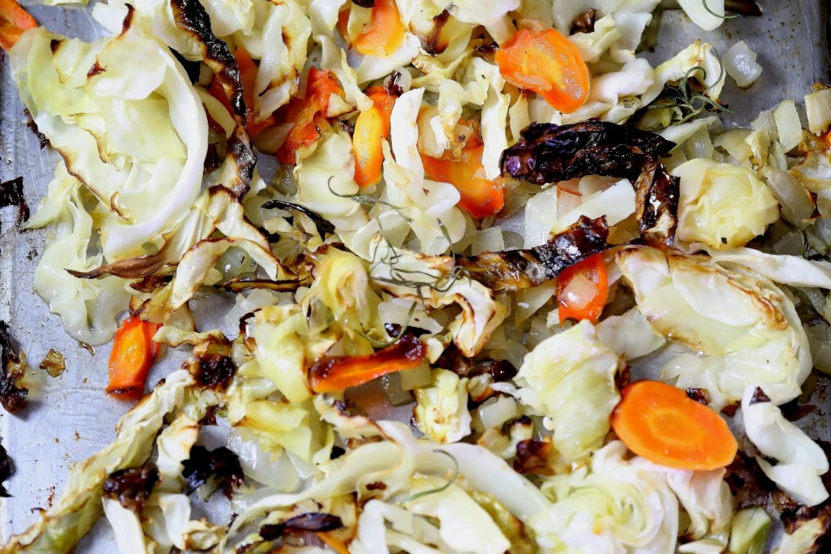 how-to-shred-cabbage-with-vitamix