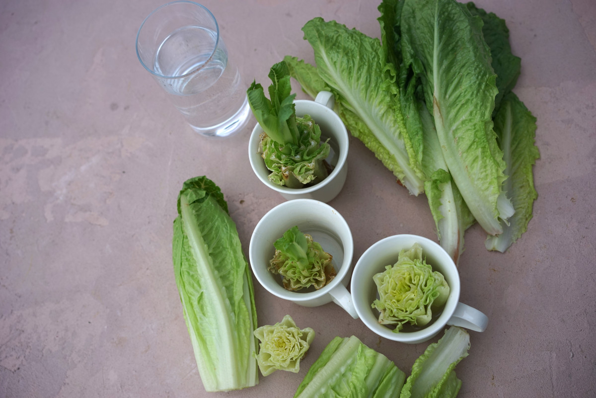 how-to-shred-romaine-lettuce-for-salad