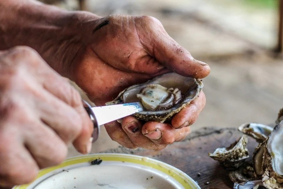 how-to-shuck-a-blue-point-oyster