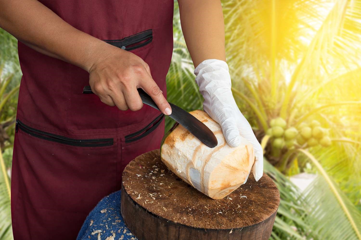 how-to-shuck-a-coconut