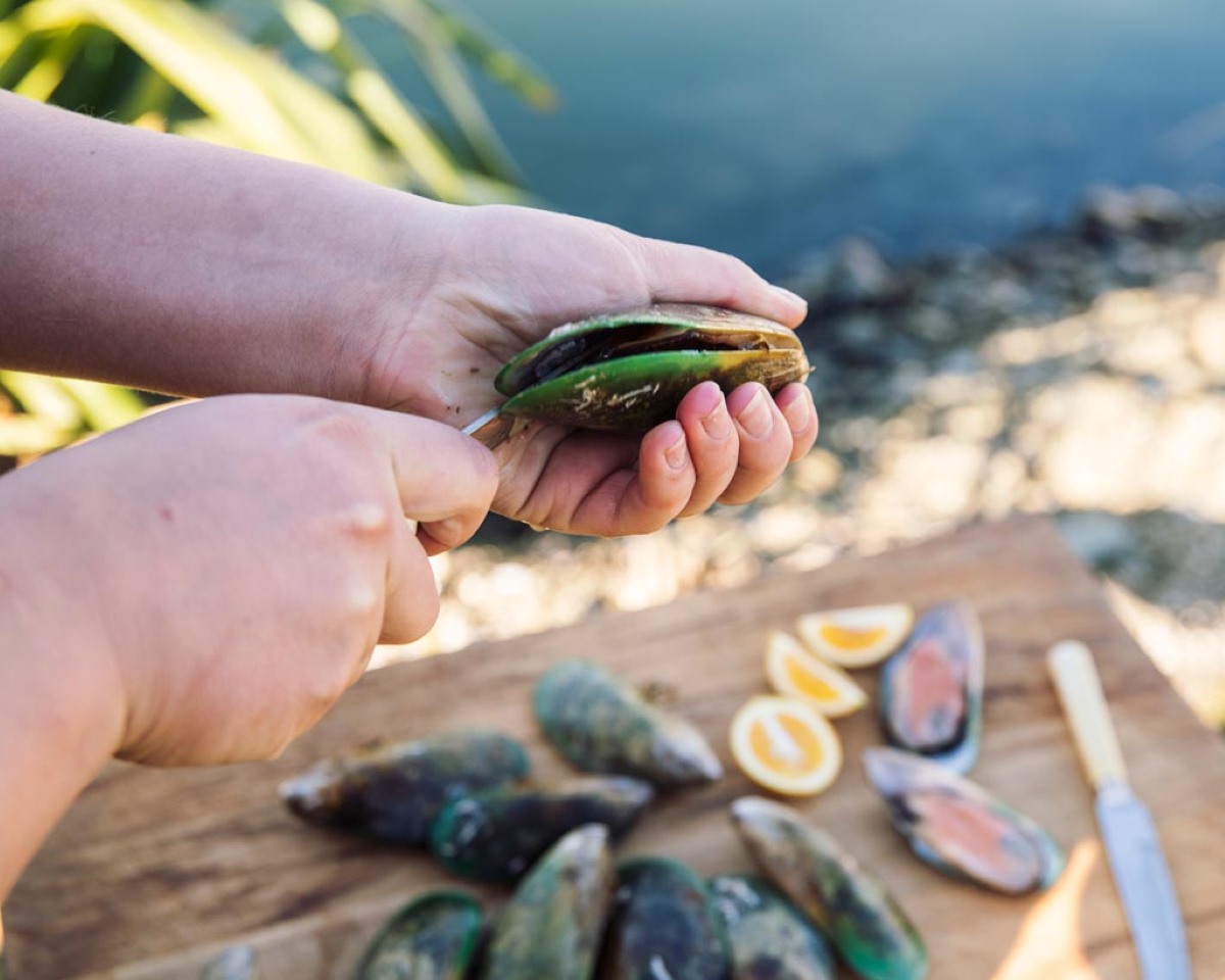 how-to-shuck-a-mussel