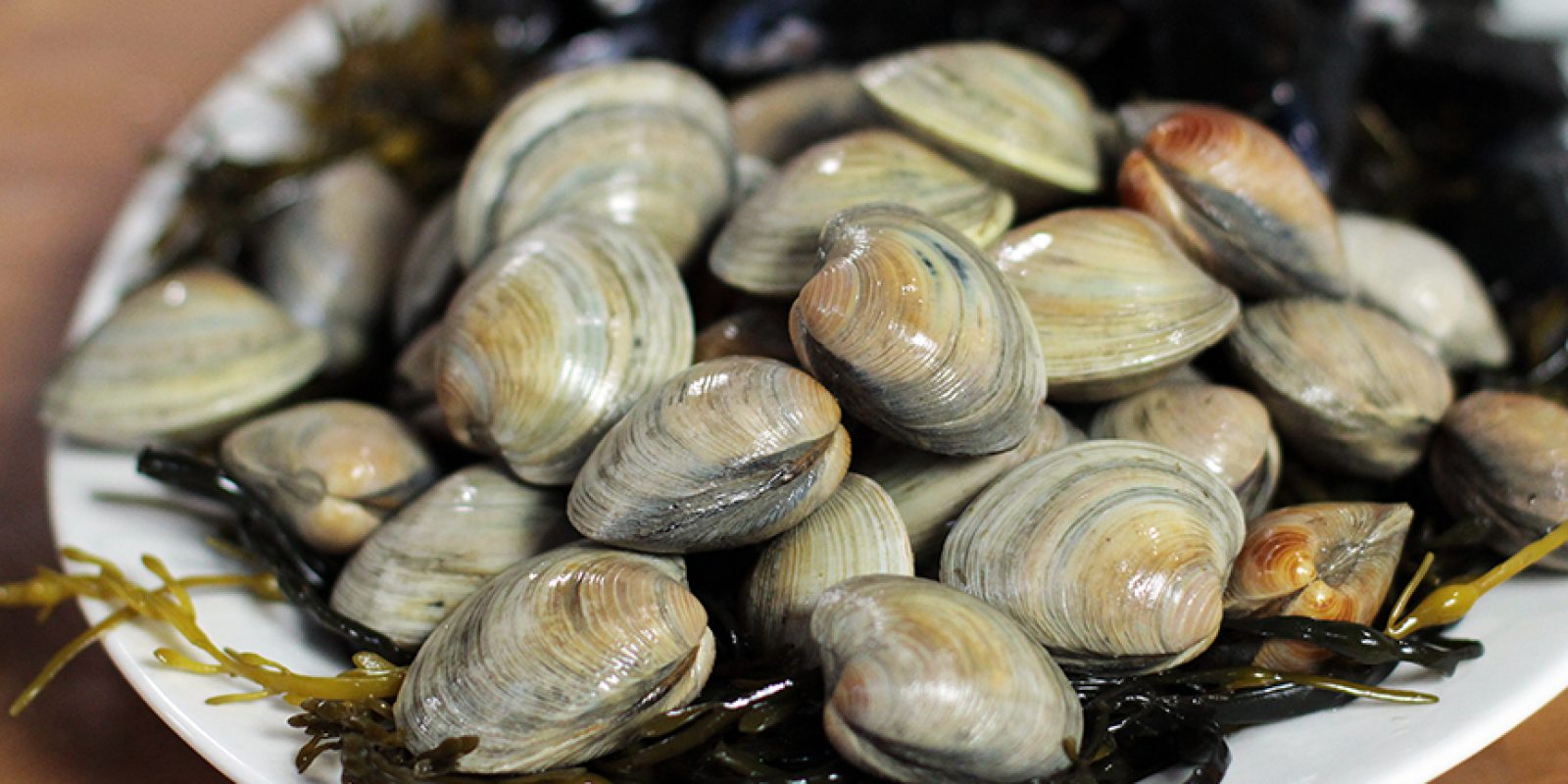 How To Shuck Clams 