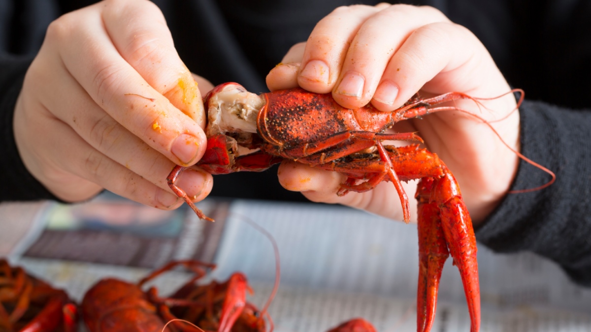 How To Shuck Crawfish - Recipes.net
