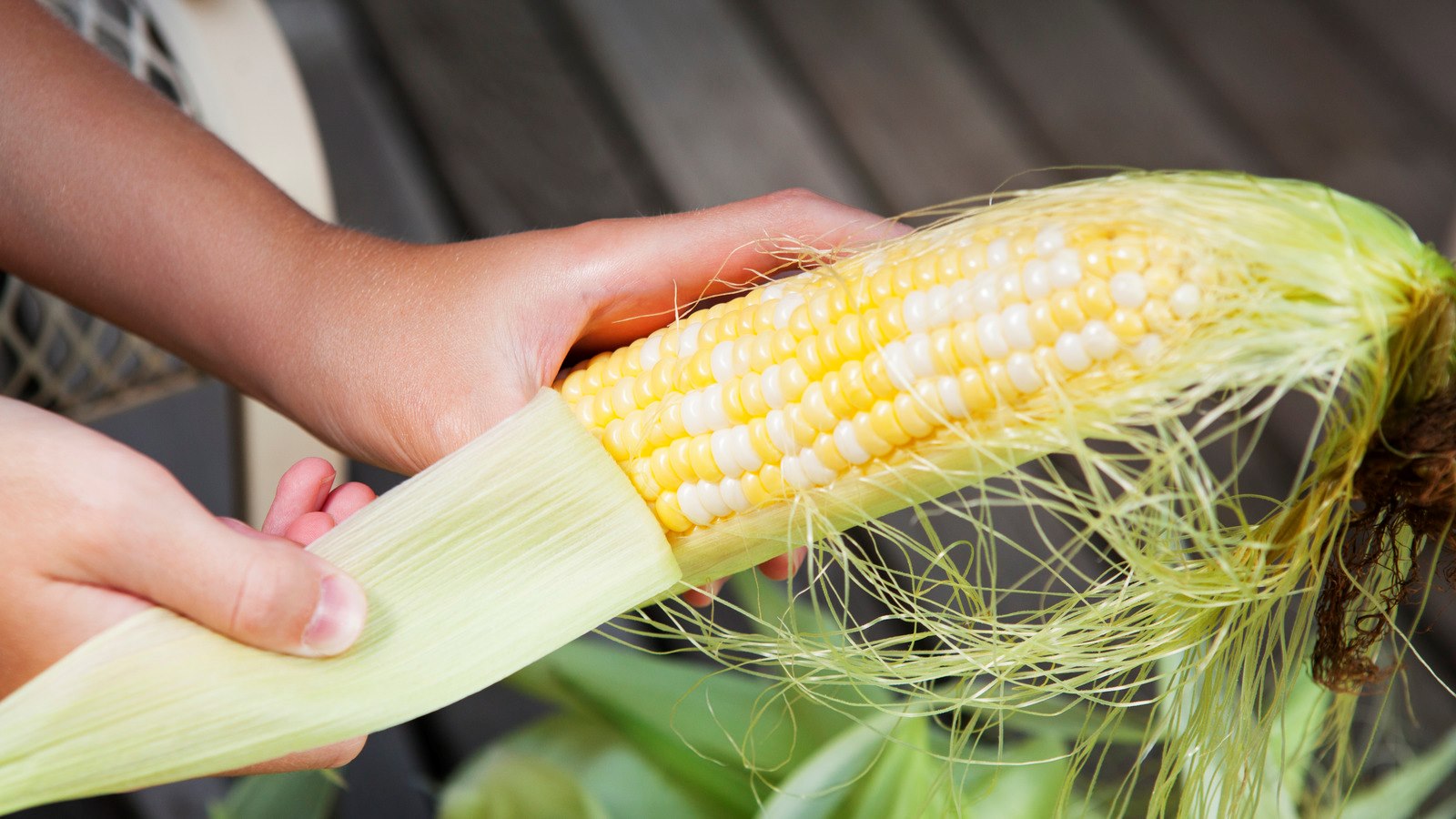 how-to-shuck-fresh-corn