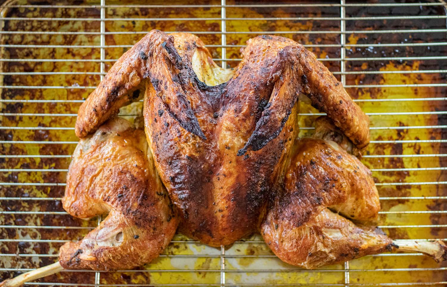 how-to-smoke-a-butterflied-turkey