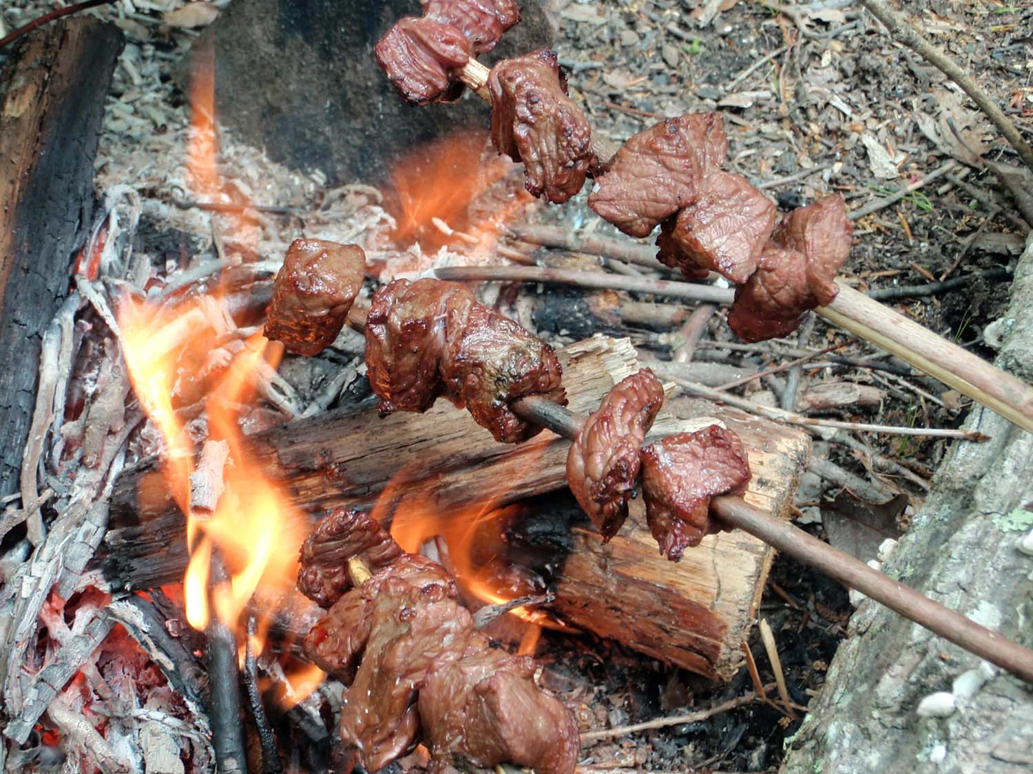how-to-smoke-and-preserve-meat-over-a-campfire
