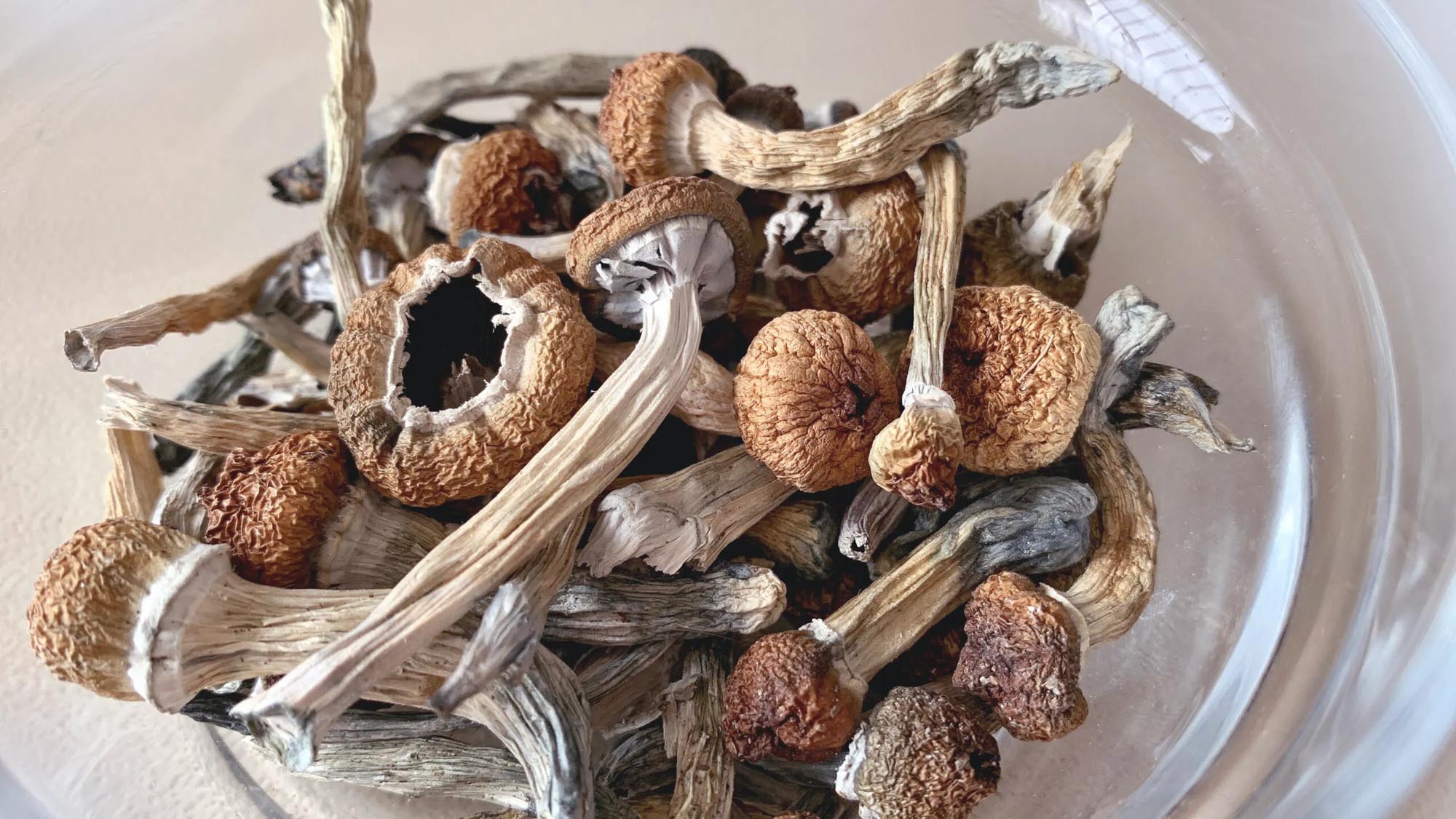 how-to-smoke-dry-mushrooms