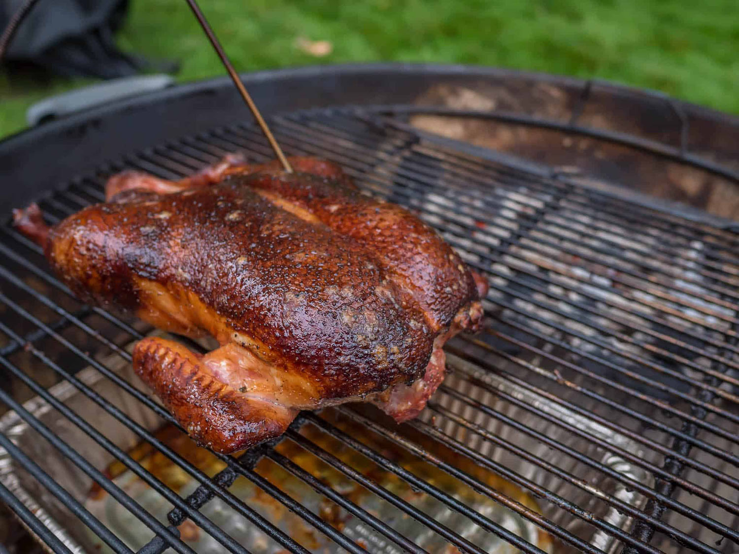 how-to-smoke-duck-on-the-grill