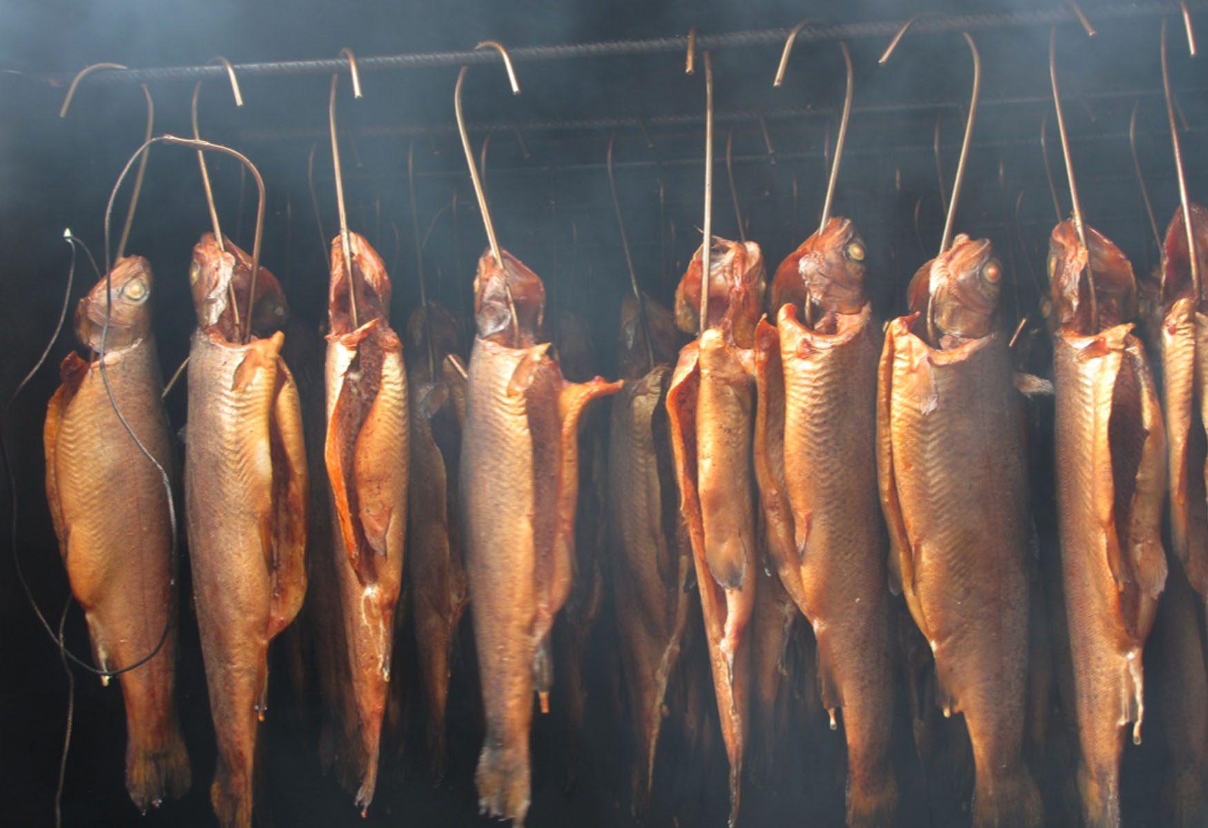 How To Smoke Fish In A Smoker Recipes How To Smoke Fish In A Smoker Recipes