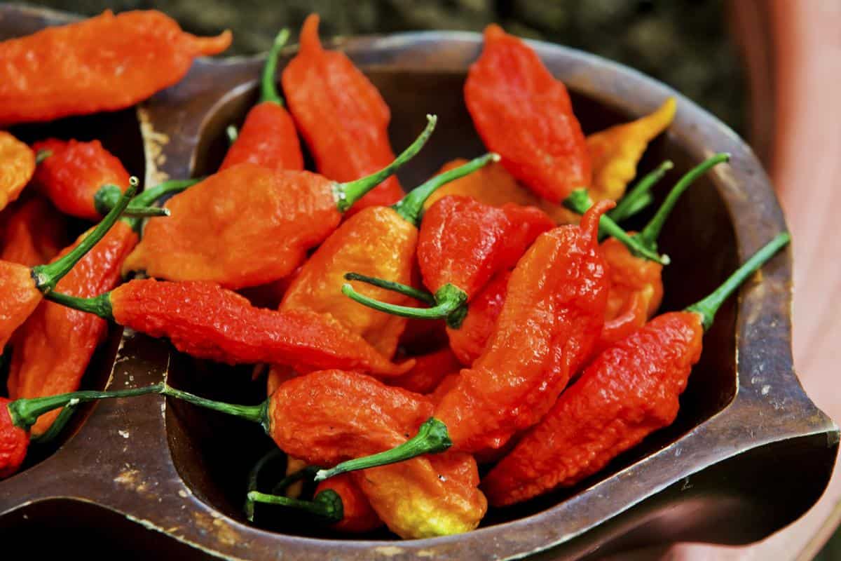 how-to-smoke-ghost-pepper