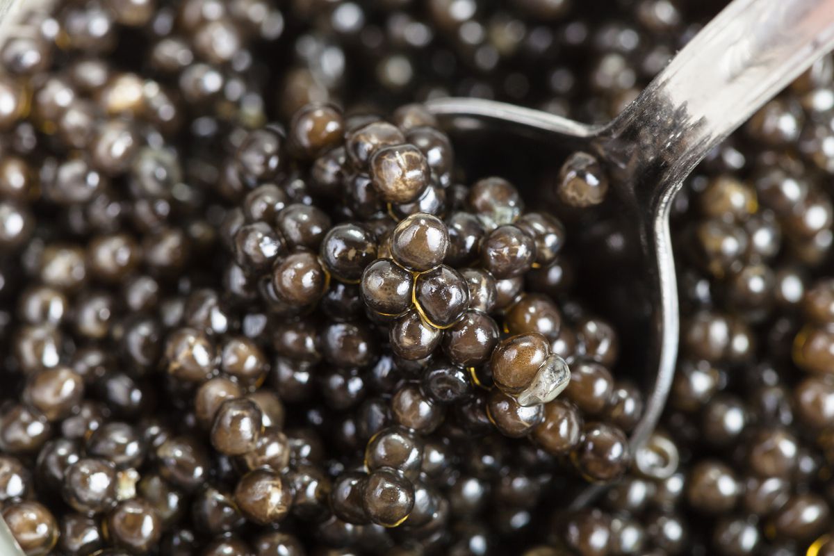 how-to-smoke-hybrid-caviar