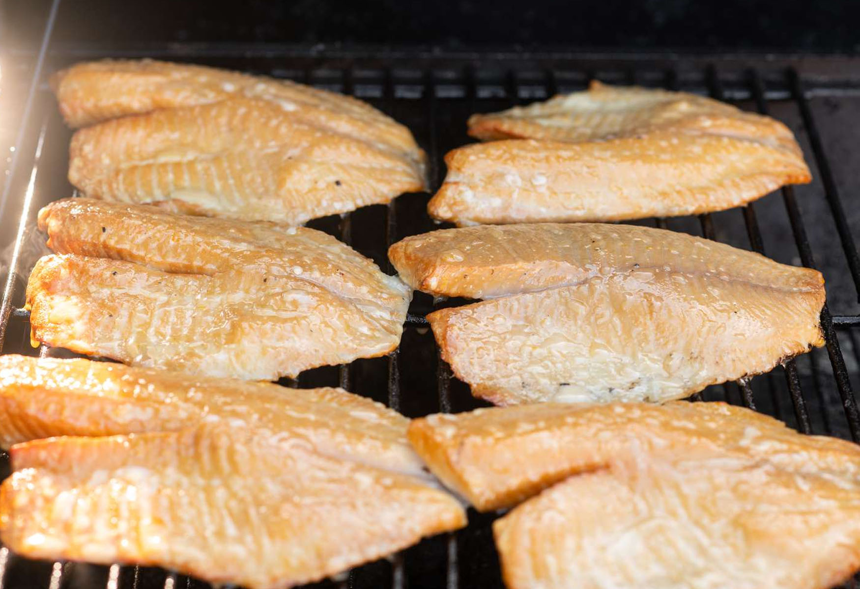 how-to-smoke-tilapia-on-traeger