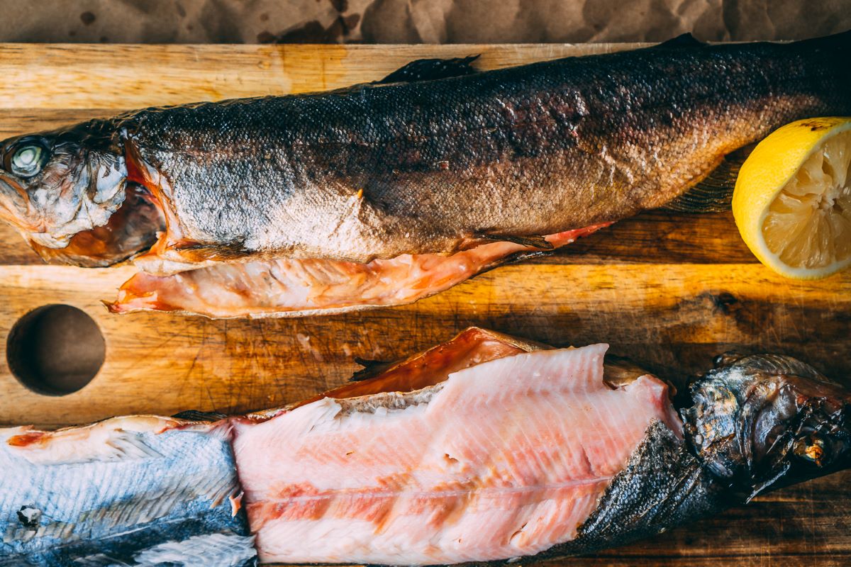 how-to-smoke-trout
