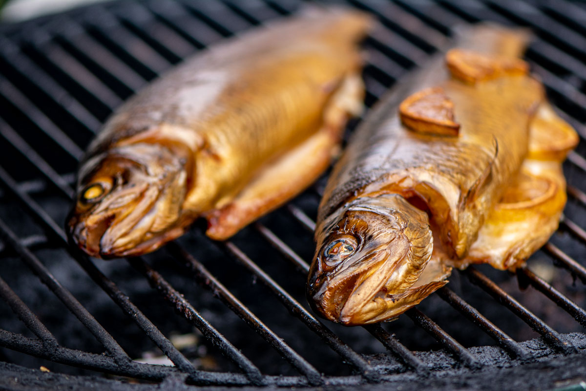 how-to-smoke-trout-in-a-smoker