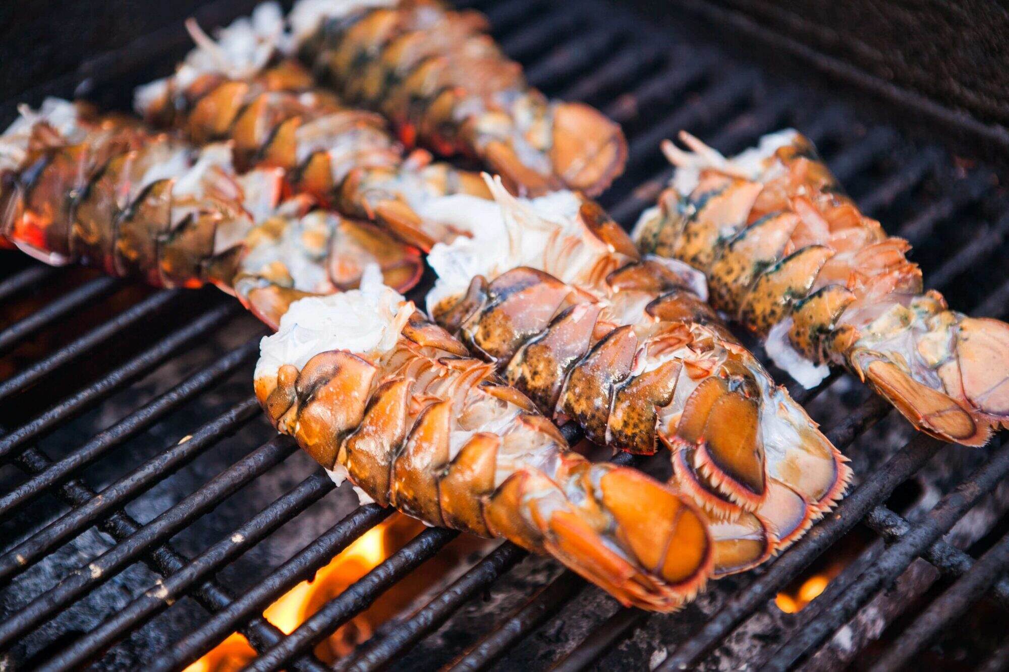 how-to-smoke-whole-lobster