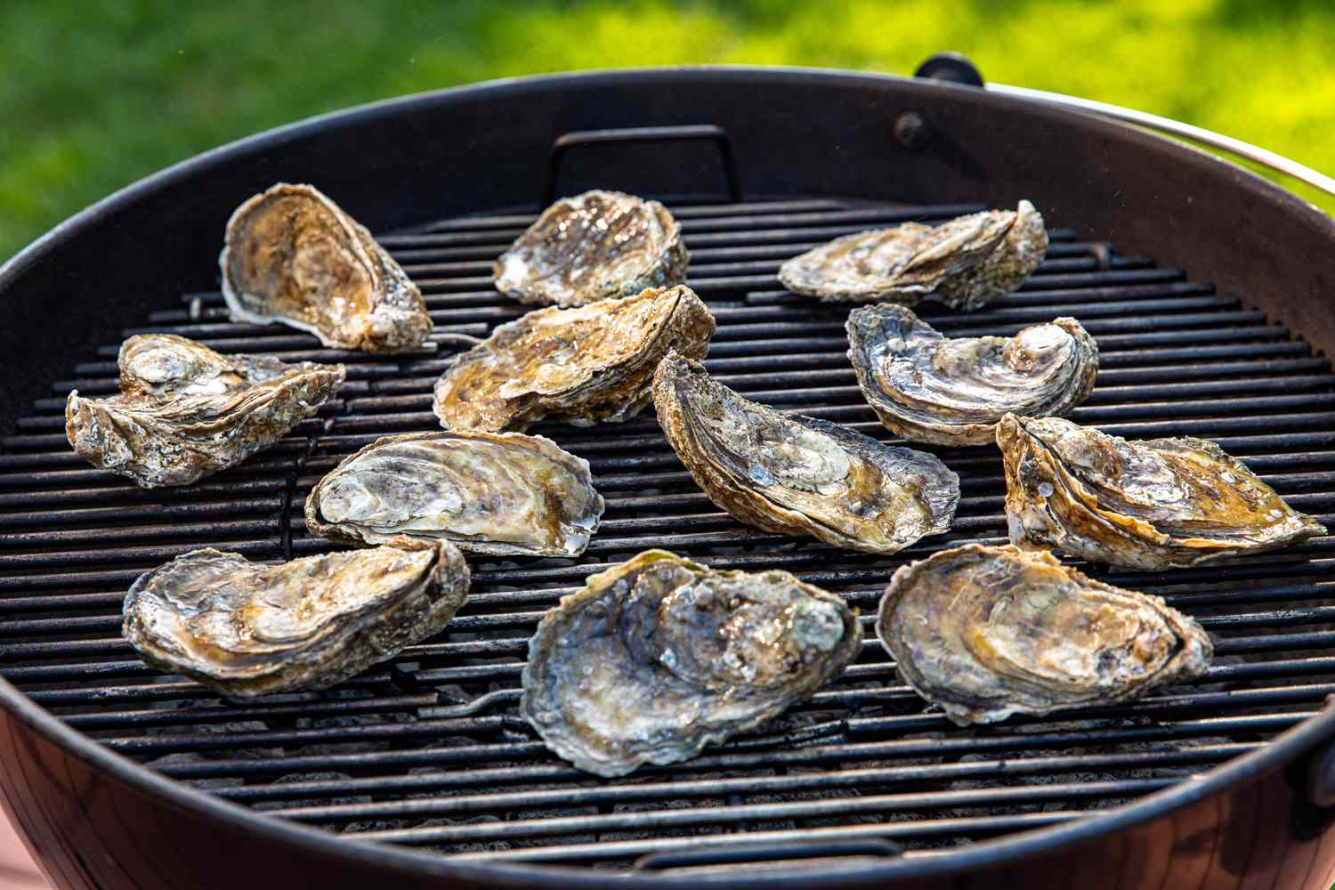 how-to-smoke-whole-oysters-in-the-shell
