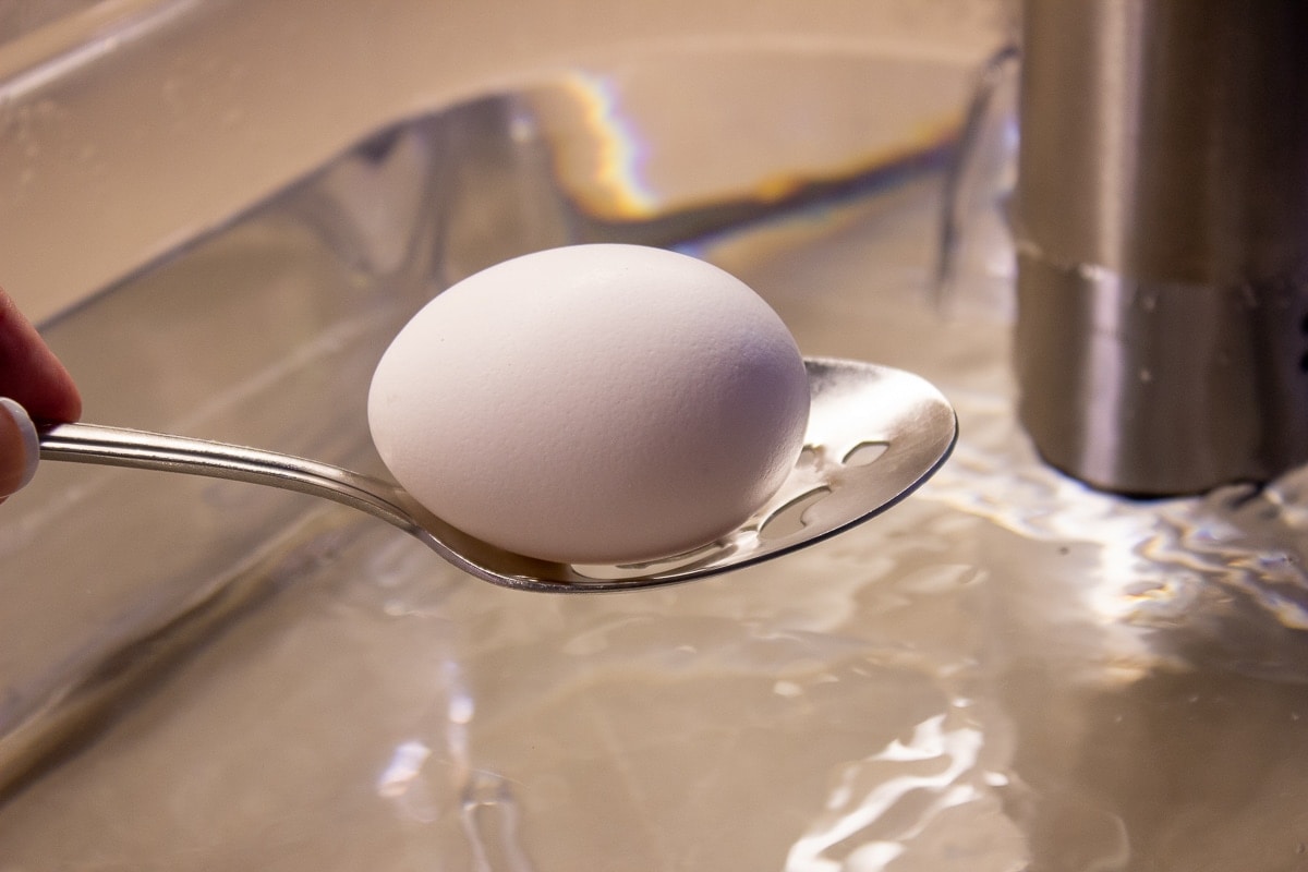 how-to-sous-vide-eggs-at-home