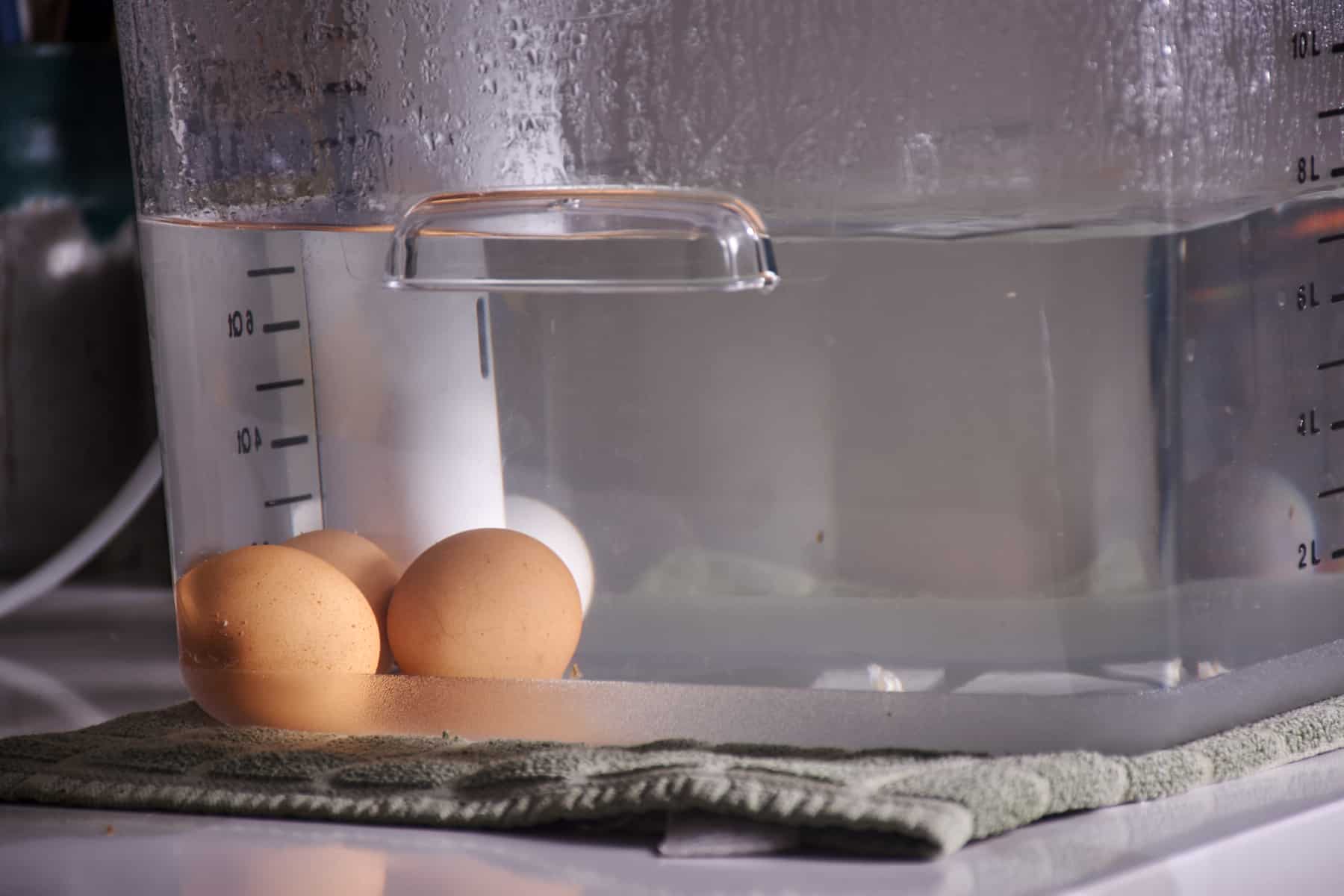 Pasteurized Eggs Sous Vide Method - The Salted Pepper