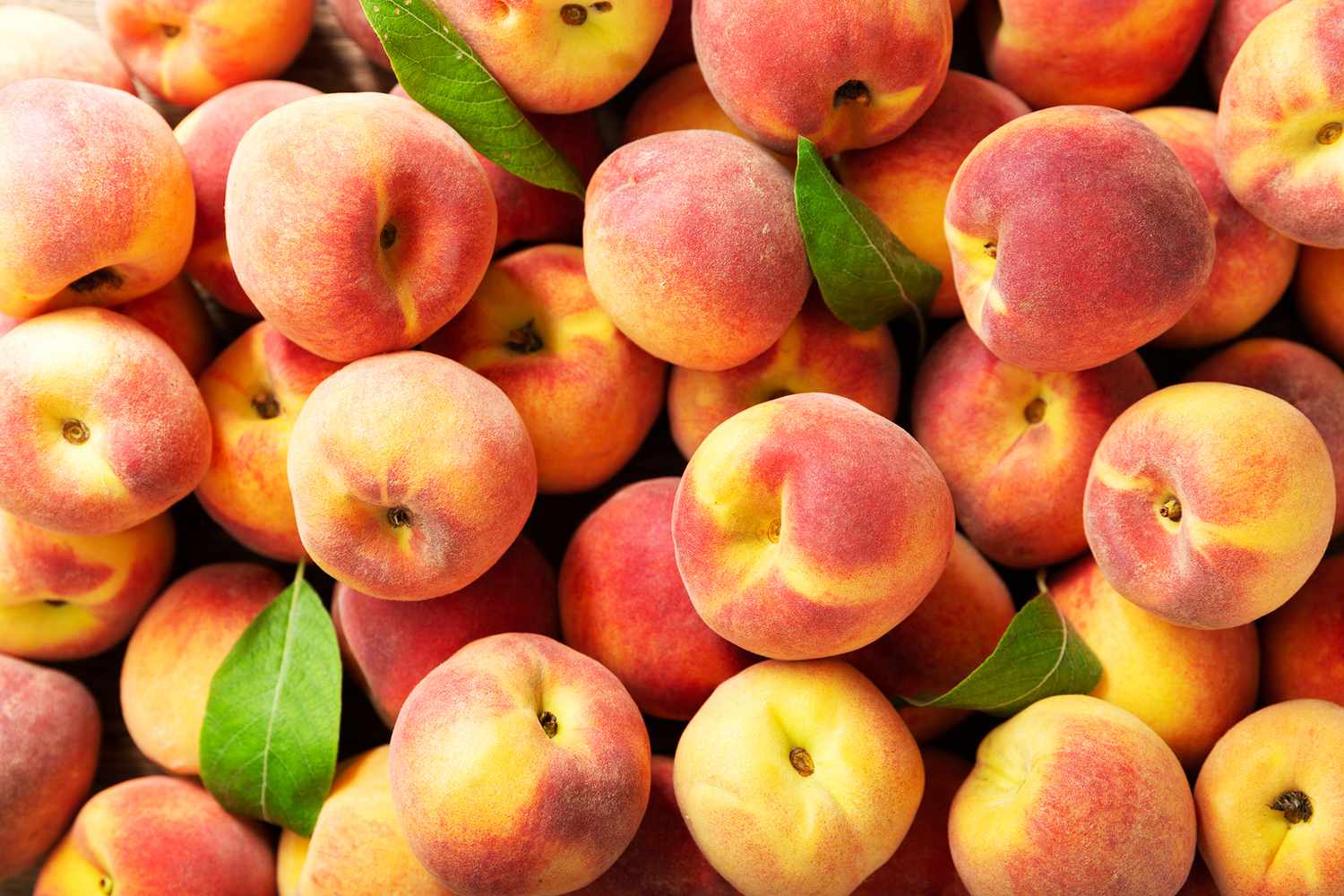 how-to-vacuum-seal-and-freeze-peaches