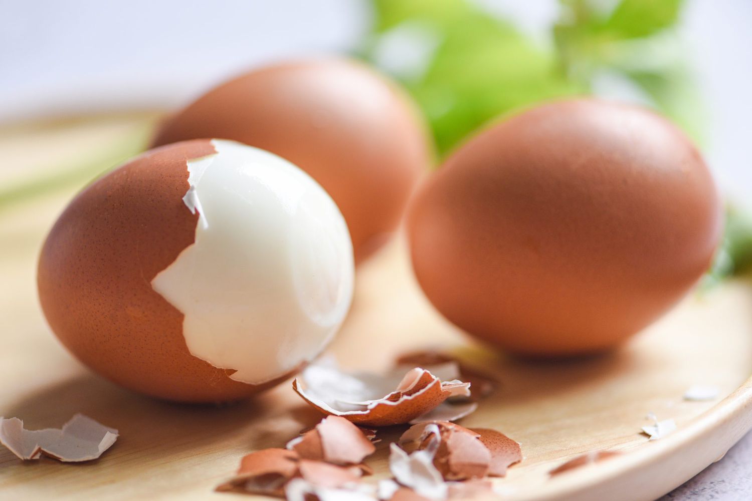 how-to-vacuum-seal-cooked-eggs