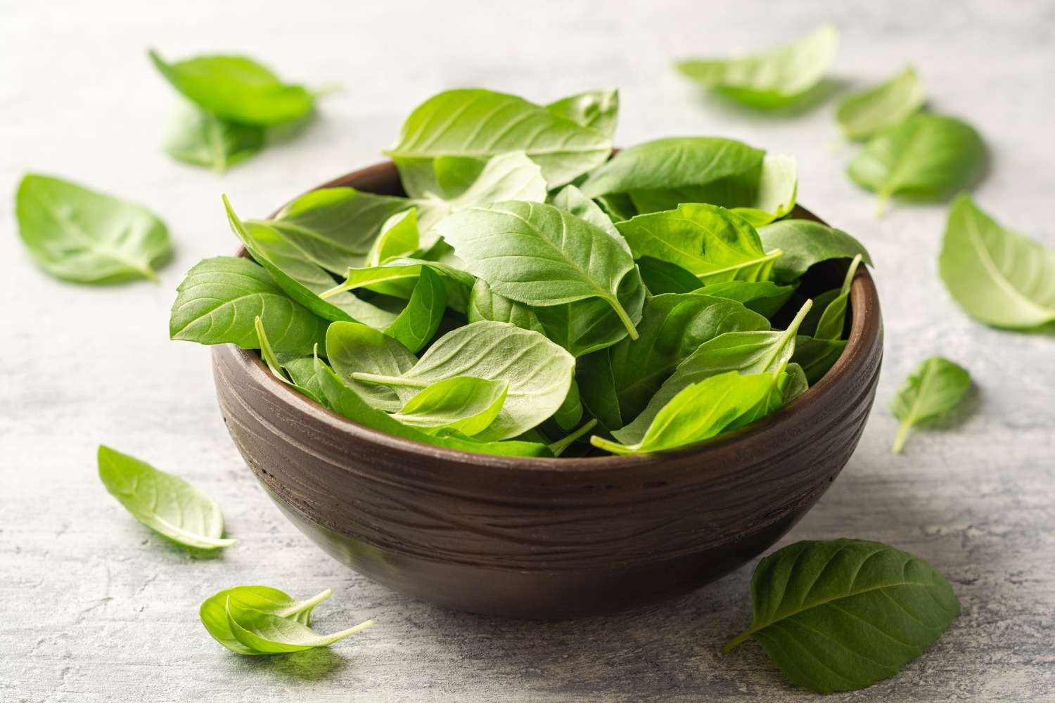 How To Vacuum Seal Fresh Basil Recipes