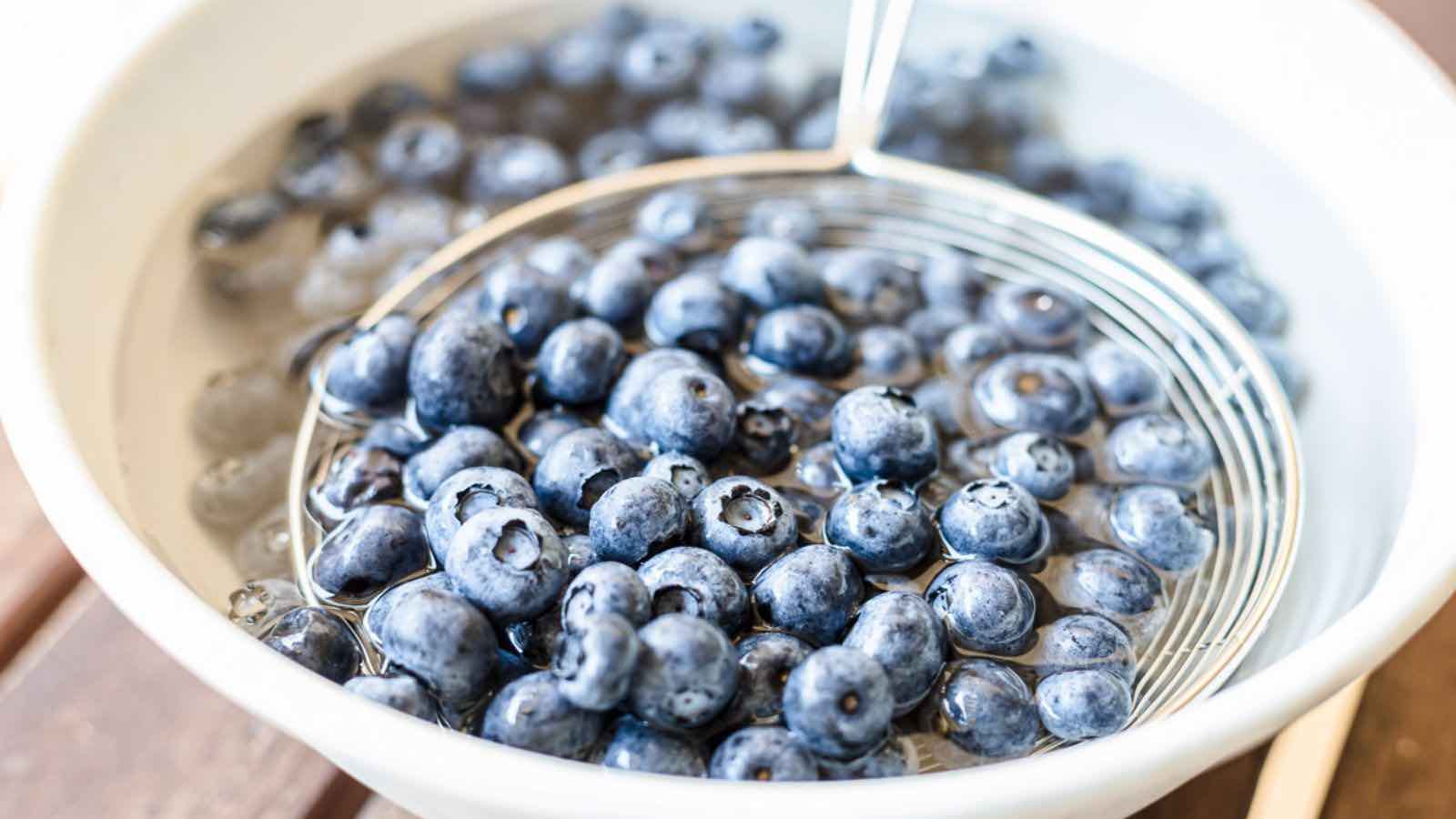 how-to-vacuum-seal-fresh-blueberries