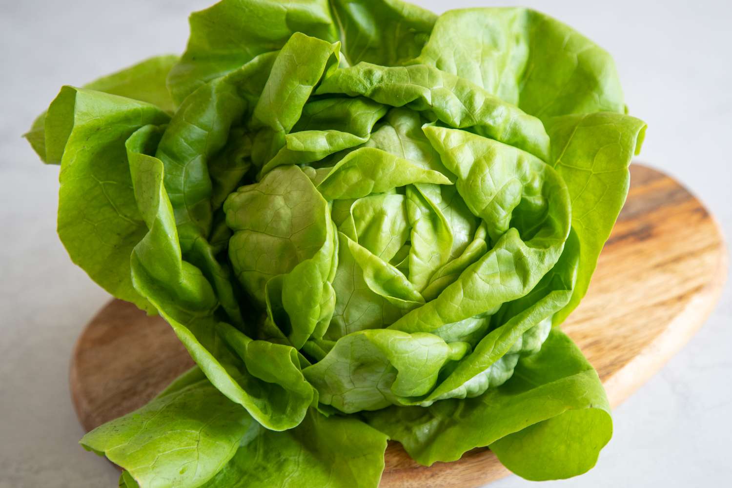 how-to-vacuum-seal-lettuce