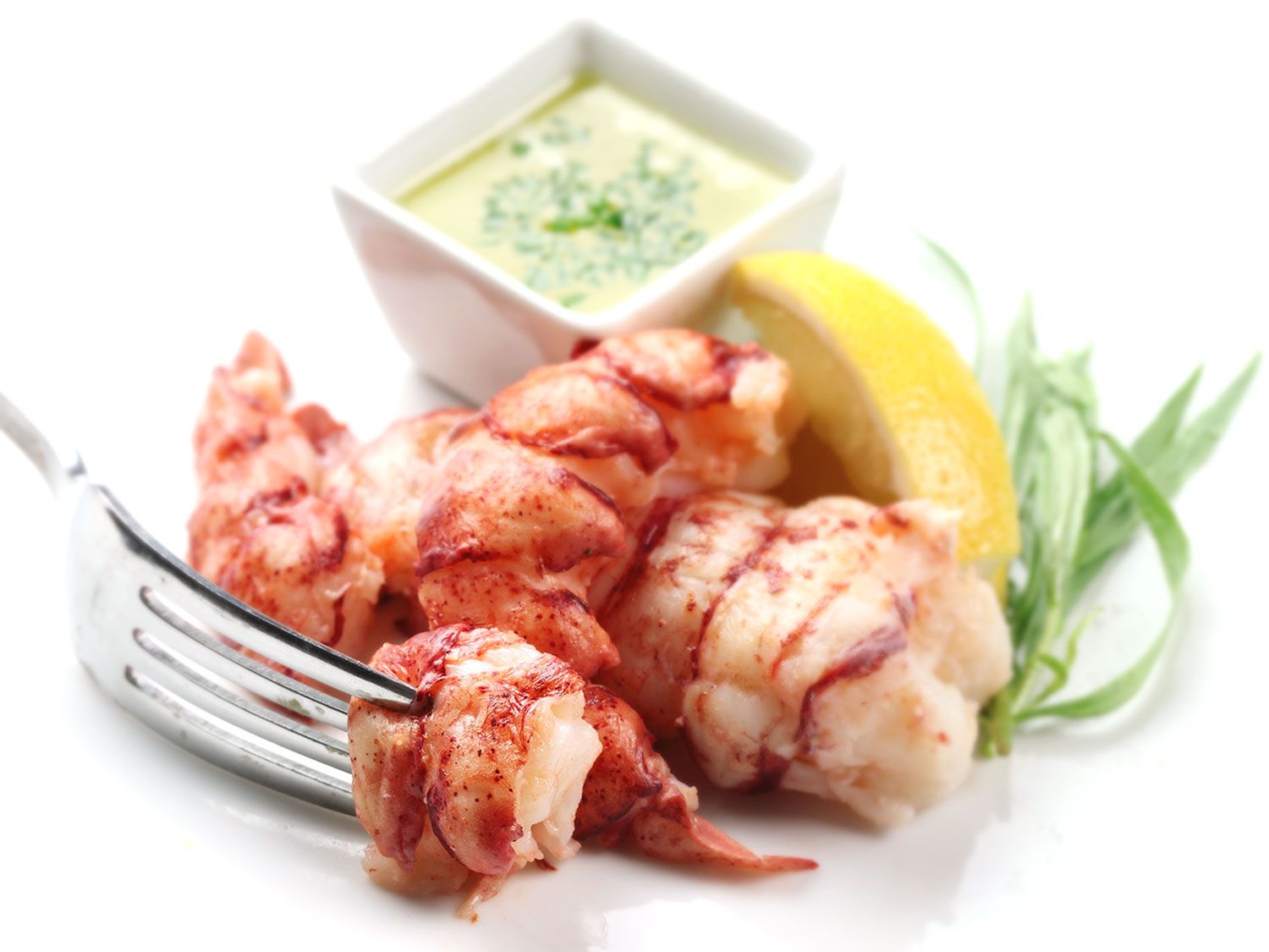 how-to-bake-4-oz-frozen-lobster-tails