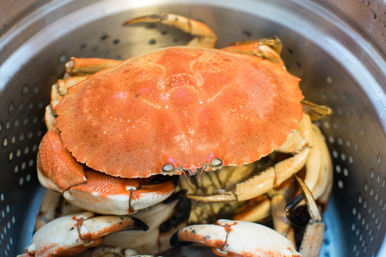 how-to-bake-a-steamed-crab