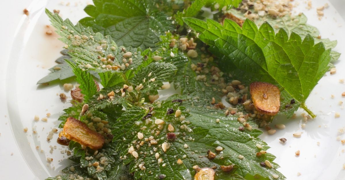 how-to-eat-nettle-nuts