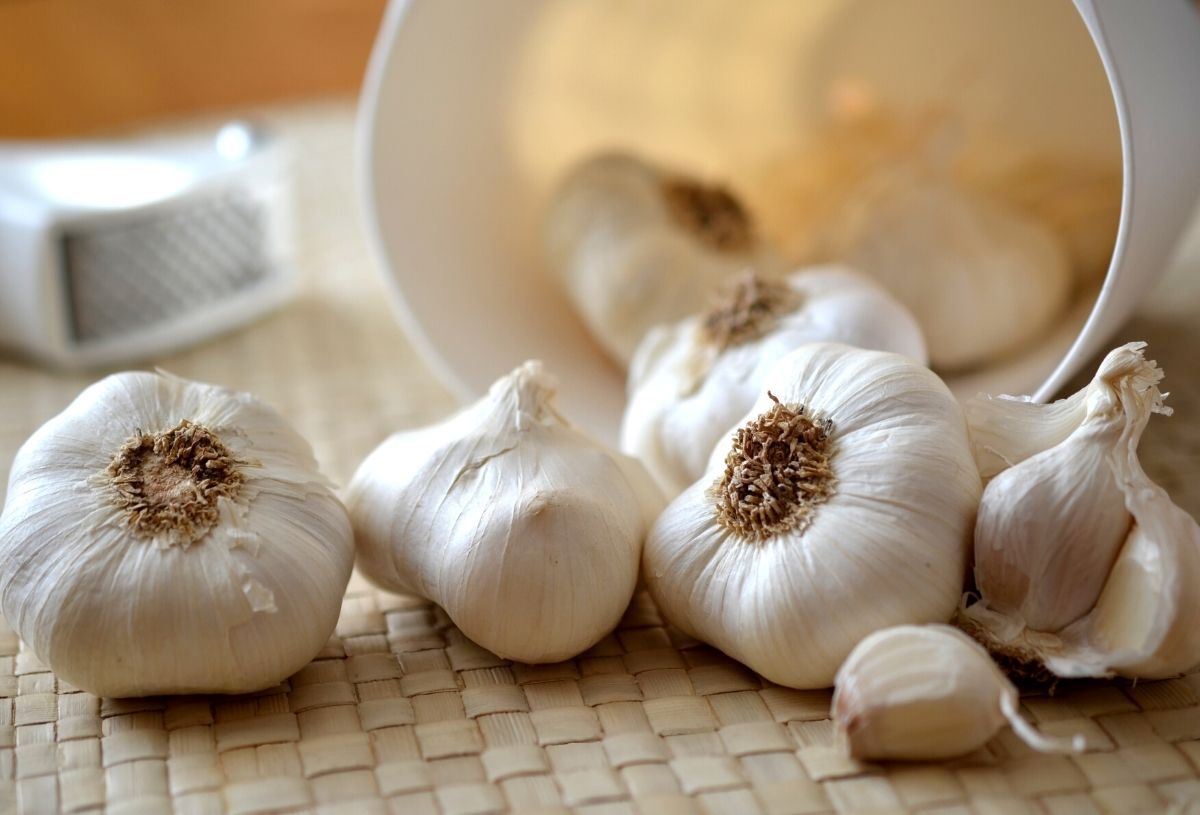 what-is-4-cloves-of-garlic-to-tsp