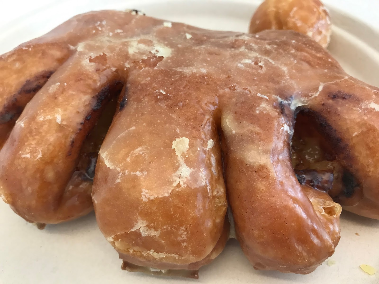 what-is-a-bear-claw-donut