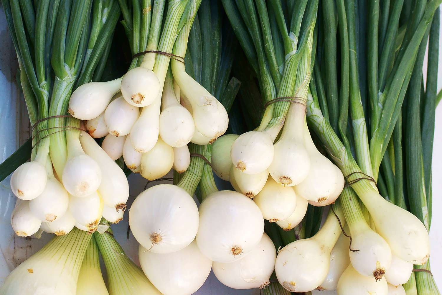 What Is A Bunch Of Green Onions Recipes what-is-a-bunch-of-green-onions-recipes