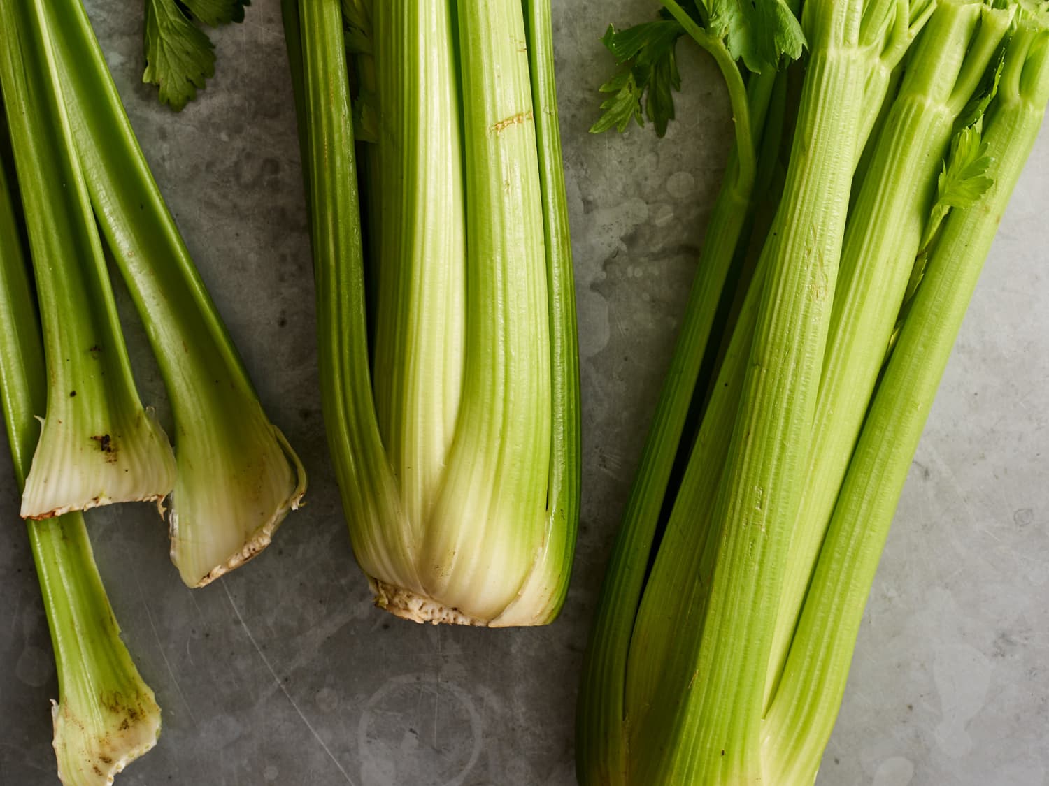 what-is-a-celery-rib