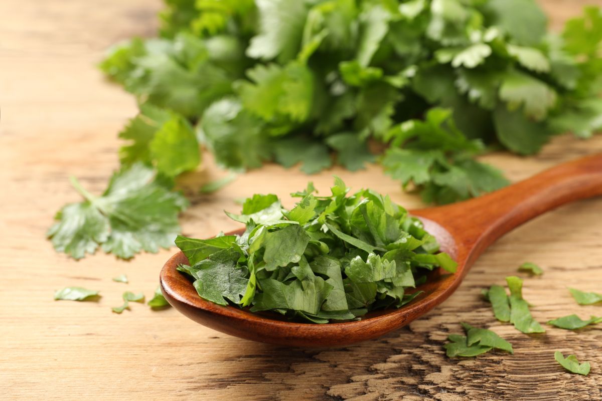 What Is a Cilantro Substitute Recipes