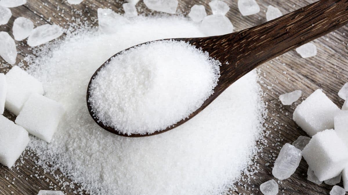what-is-a-granulated-sugar-substitute