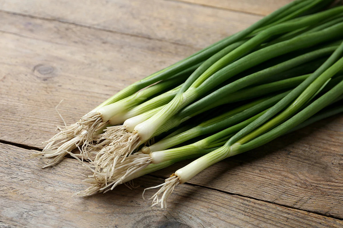what-is-a-green-onion