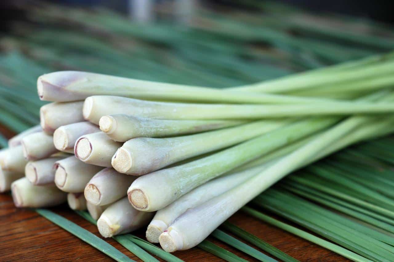 what-is-a-lemongrass-substitute