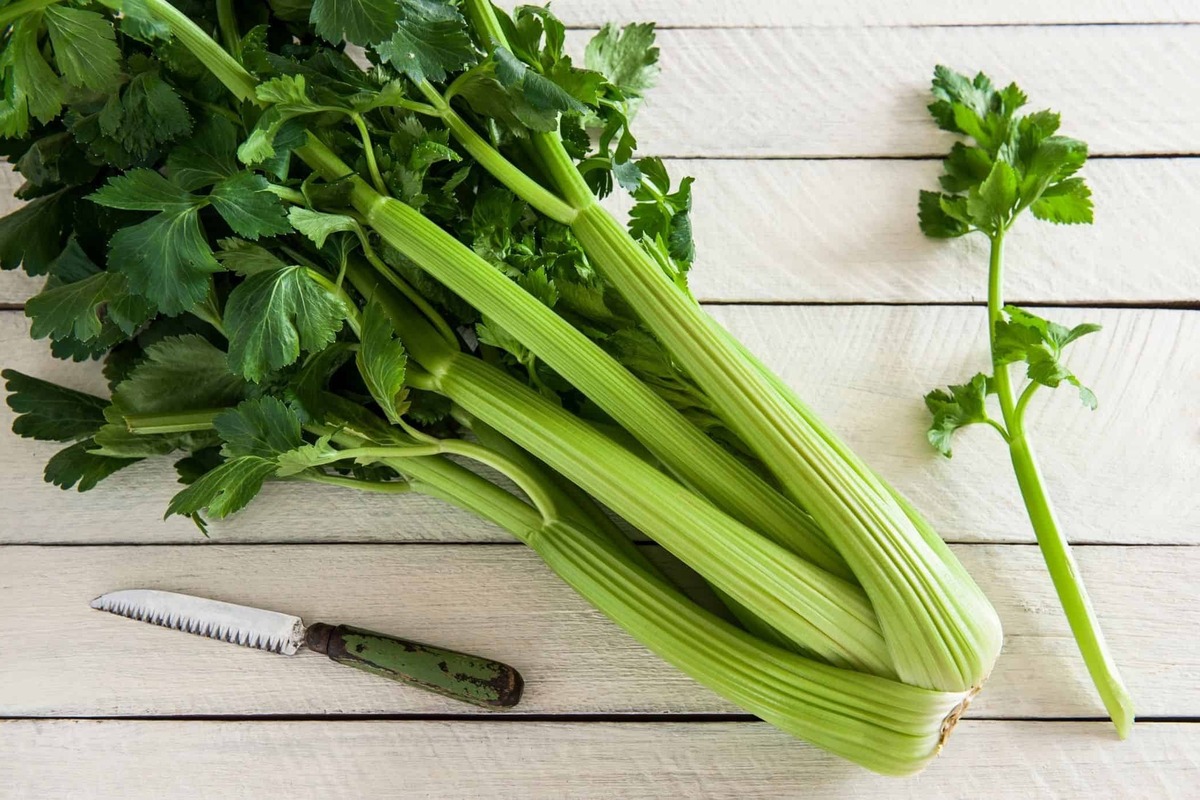 What Is Cartouche In Cooking Recipes