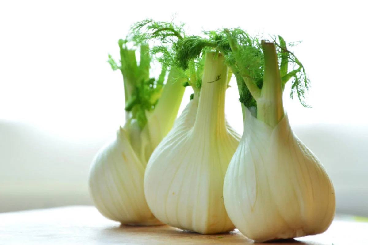 what-is-a-substitute-for-fennel