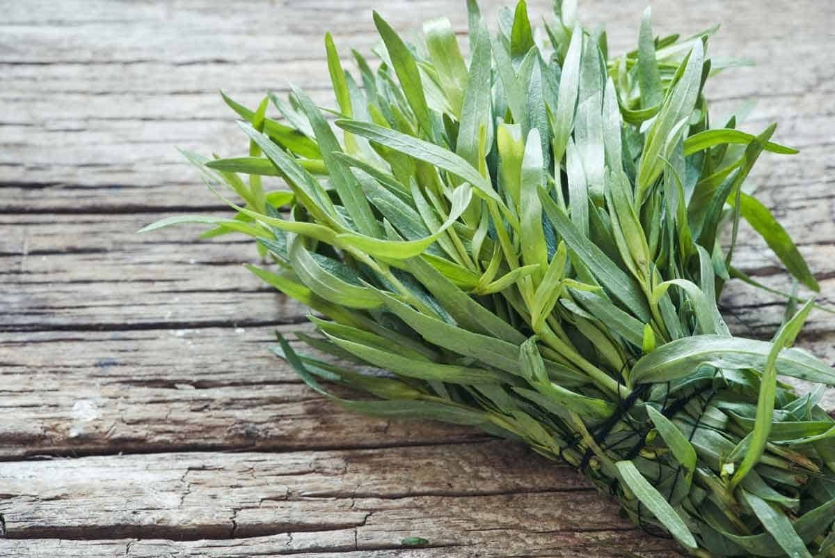 what-is-a-substitute-for-tarragon