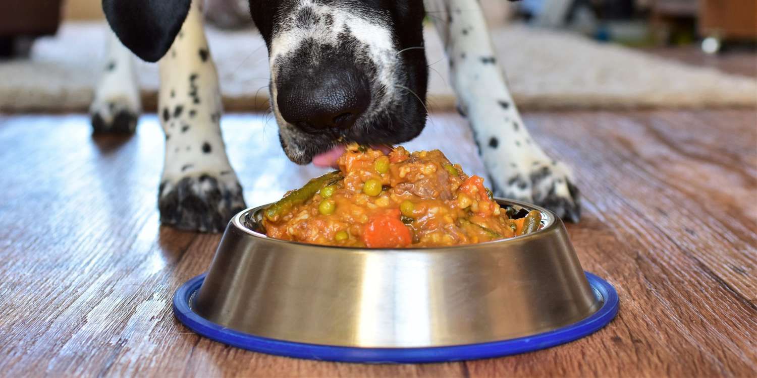 What Is Beef Meal in Dog Food Recipes