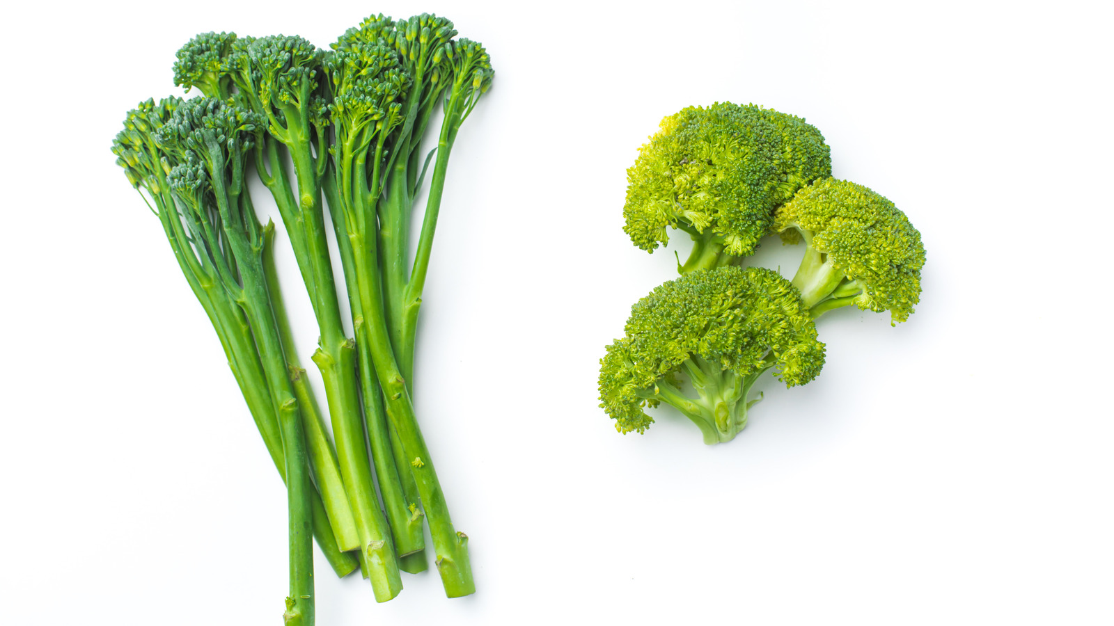 what-is-broccolini-vs-broccoli