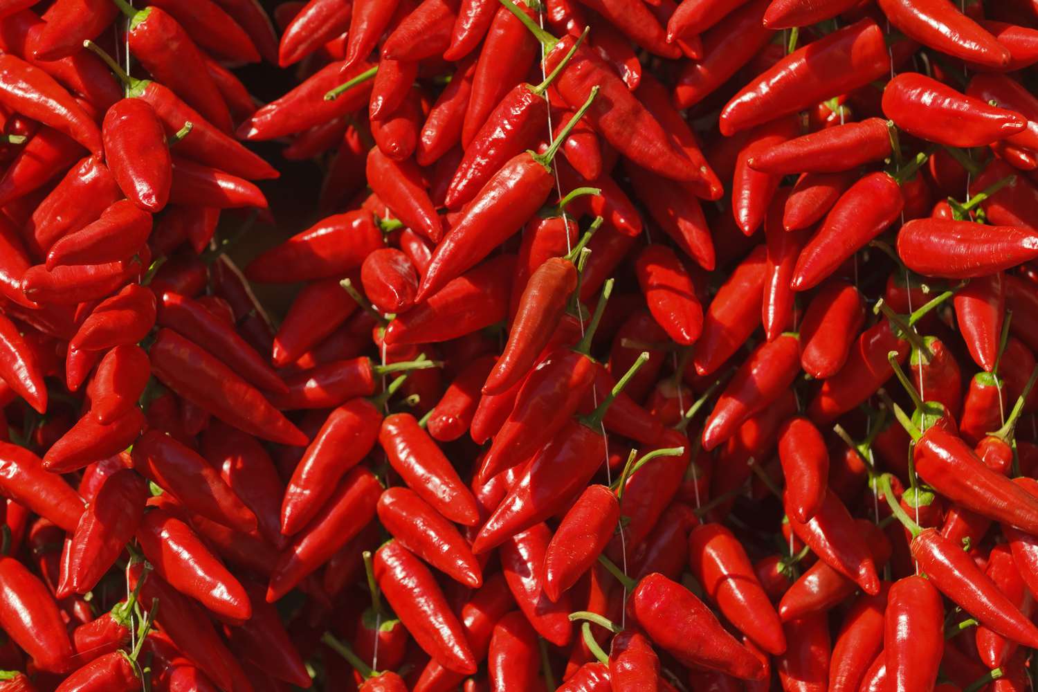 what-is-calabrian-peppers-scoville