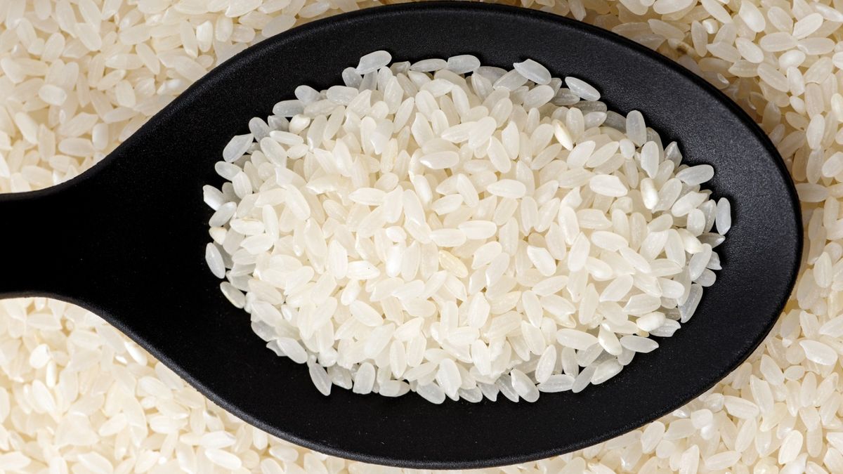 what-is-calrose-rice