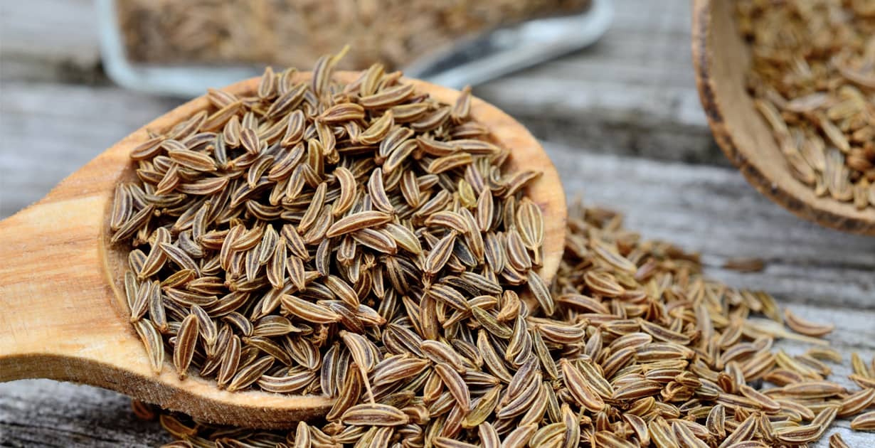 what-is-caraway-spice