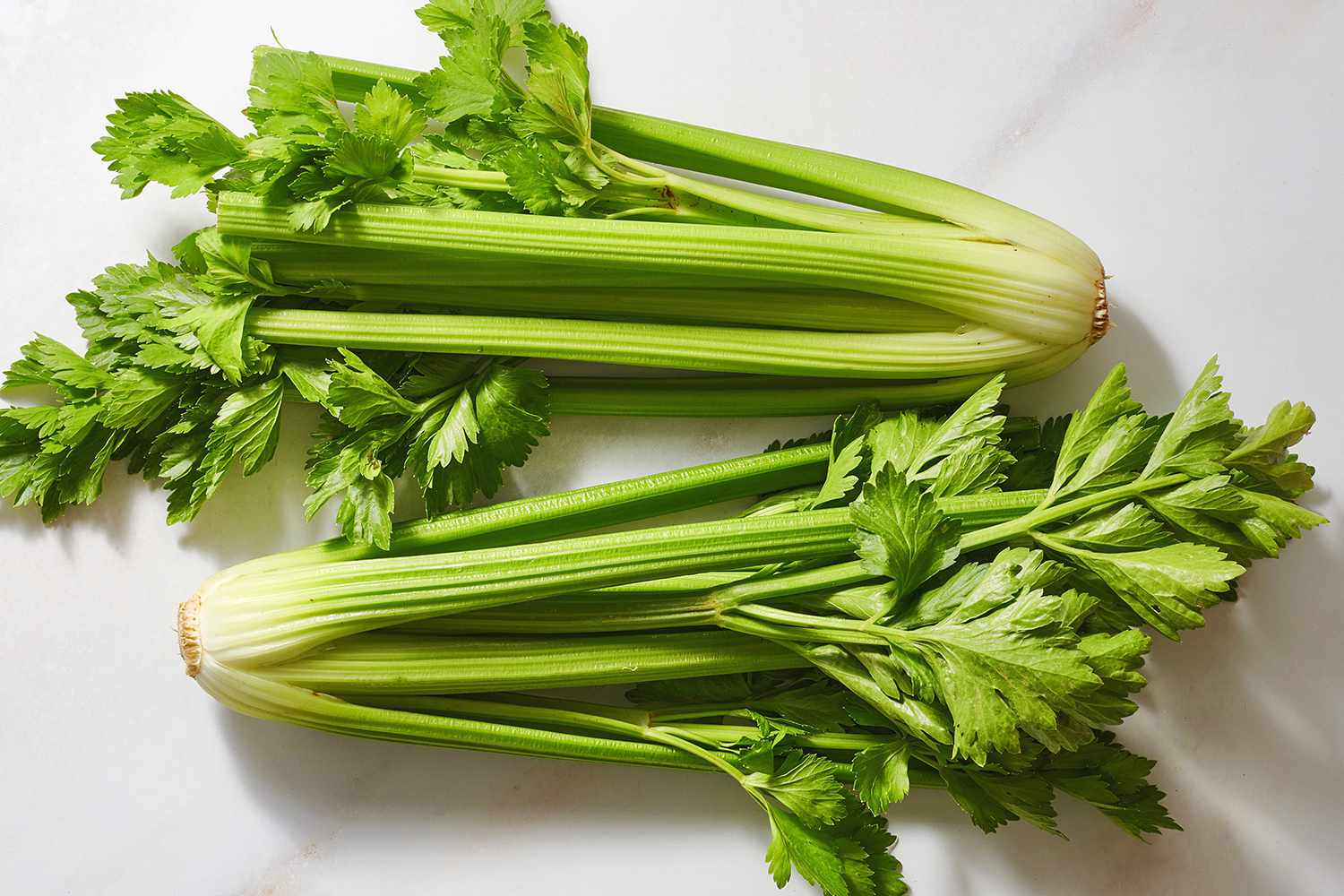 what-is-celery