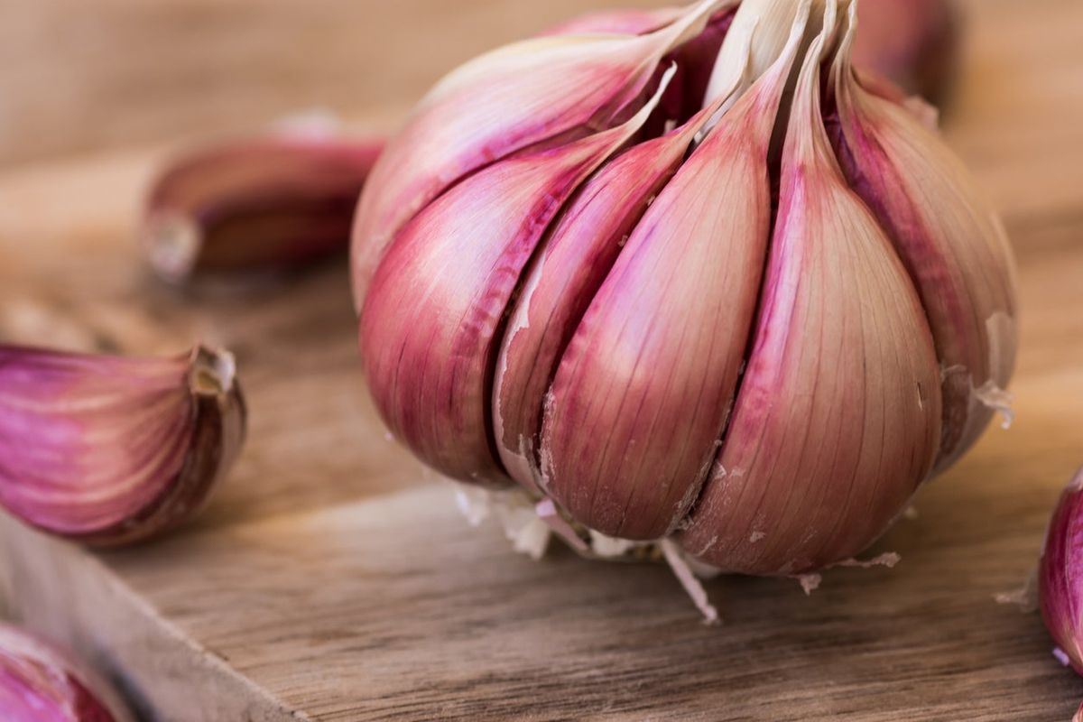 what-is-chesnok-red-garlic